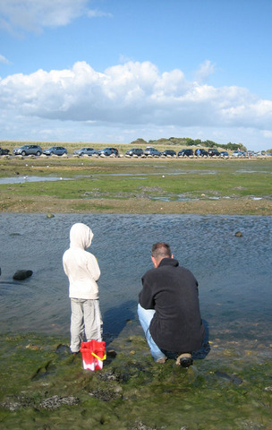 Crabbing3.jpg