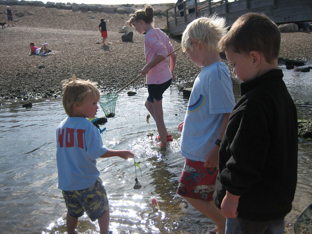 Crabbing.jpg